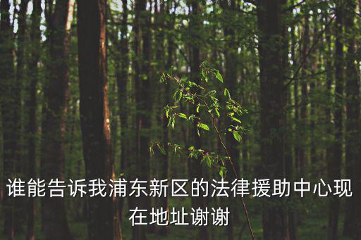 誰能告訴我浦東新區的法律援助中心現在地址謝謝