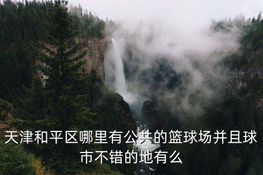 天津和平區哪里有公共的籃球場并且球市不錯的地有么