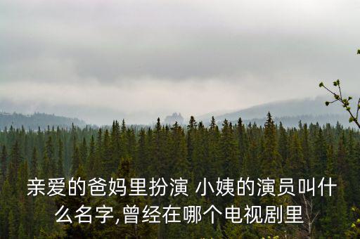  親愛的爸媽里扮演 小姨的演員叫什么名字,曾經(jīng)在哪個電視劇里