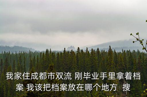 我家住成都市雙流 剛畢業手里拿著檔案 我該把檔案放在哪個地方  搜