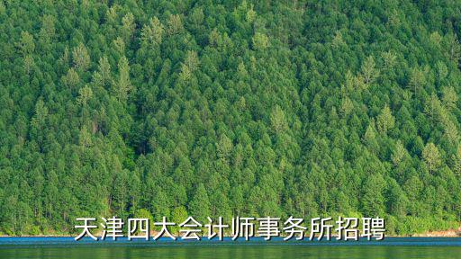 天津四大會計師事務所招聘