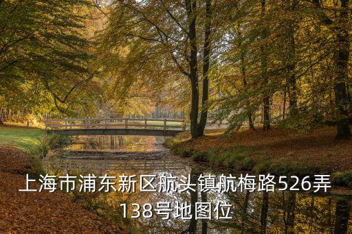 上海市浦東新區的地圖航頭鎮，浦東新區航頭鎮最好的男科醫院在什么地方
