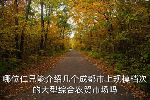哪位仁兄能介紹幾個(gè)成都市上規(guī)模檔次的大型綜合農(nóng)貿(mào)市場(chǎng)嗎