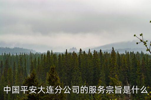 中國平安大連分公司的服務宗旨是什么