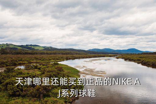 天津哪里還能買到正品的NIKE AJ系列球鞋