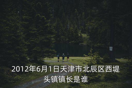 2012年6月1日天津市北辰區(qū)西堤頭鎮(zhèn)鎮(zhèn)長是誰