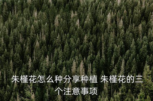 朱槿花,三種澆水方法，春秋季多澆一次水即可澆透