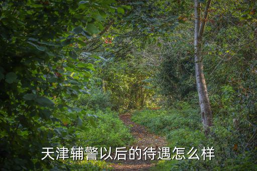 天津市輔警工資有多少，2022年天津津南輔警工資