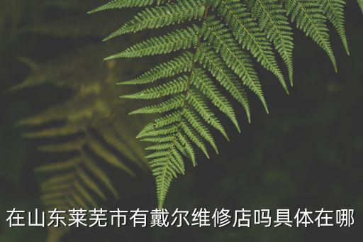在山東萊蕪市有戴爾維修店嗎具體在哪