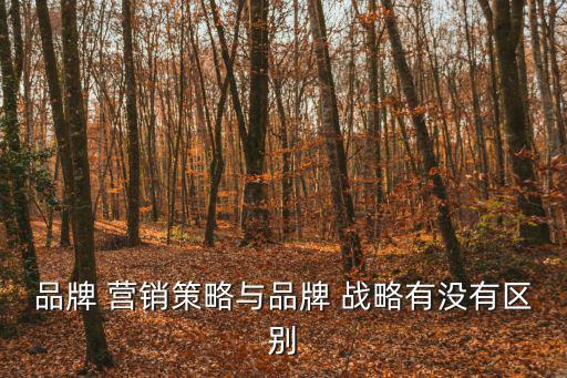 品牌 營(yíng)銷(xiāo)策略與品牌 戰(zhàn)略有沒(méi)有區(qū)別