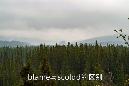 blame,blame和scoldscold是常用詞