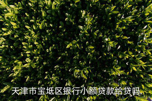 天津市辦理小額貸款業(yè)務，天津市寶坻區(qū)銀行小額貸款給貸嗎