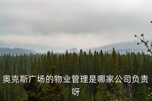 奧克斯廣場(chǎng)的物業(yè)管理是哪家公司負(fù)責(zé)呀
