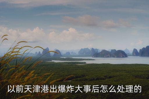 以前天津港出爆炸大事后怎么處理的