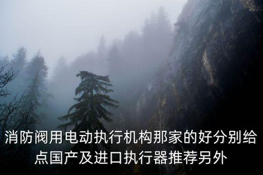 消防閥用電動執行機構那家的好分別給點國產及進口執行器推薦另外