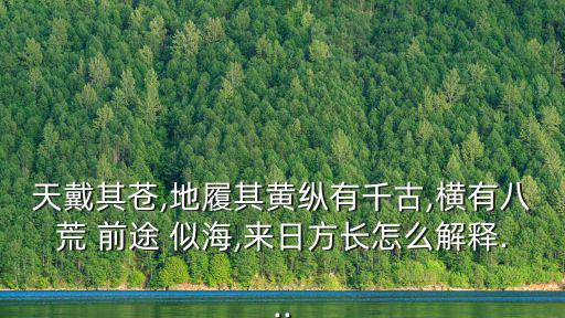 天戴其蒼,地履其黃縱有千古,橫有八荒 前途 似海,來日方長怎么解釋...