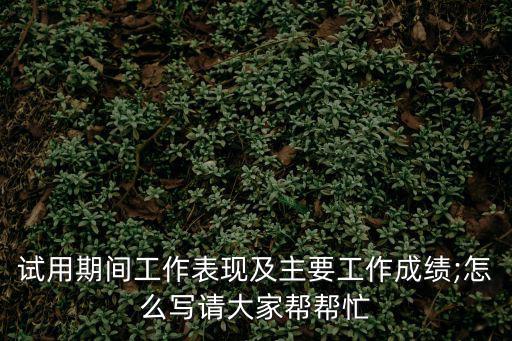 工作表現情況怎么寫,工作總結應用寫作按通用情況寫就行