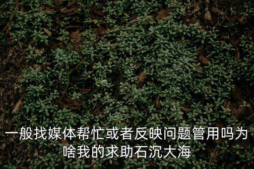 一般找媒體幫忙或者反映問題管用嗎為啥我的求助石沉大海