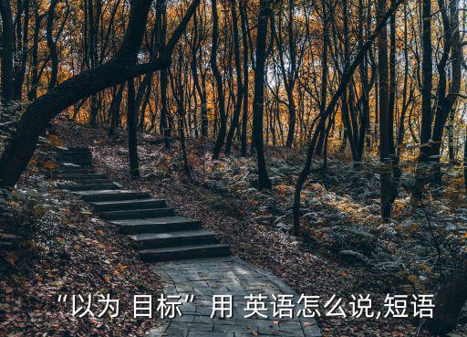 目標英語怎么說,目標受到攻擊、批評或嘲笑目的可指軍事目標