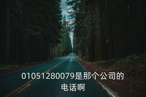 01051280079是那個公司的電話啊