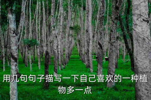 我喜歡的一種植物，用幾句句子描寫(xiě)一下自己喜歡的一種植物多一點(diǎn)