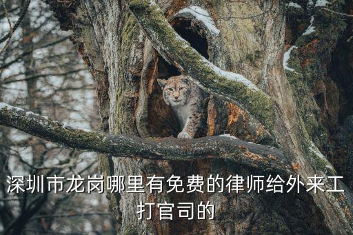 深圳市龍崗哪里有免費(fèi)的律師給外來(lái)工打官司的