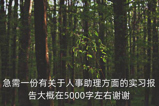 急需一份有關于人事助理方面的實習報告大概在5000字左右謝謝