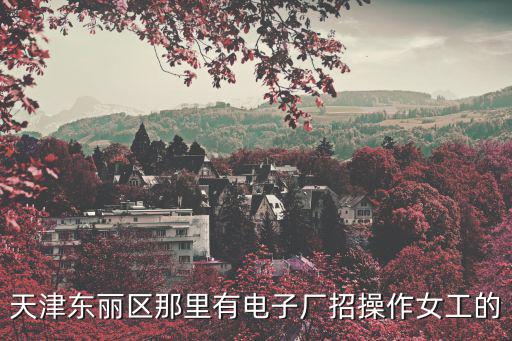 天津市寶鼎電子設備有限公司，風力發電設備公司