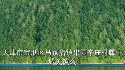 天津市寶坻區馬家店鎮果園辛莊村屬于城關鎮么