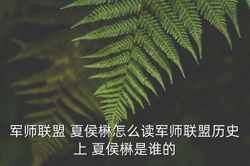 軍師聯盟 夏侯楙怎么讀軍師聯盟歷史上 夏侯楙是誰的