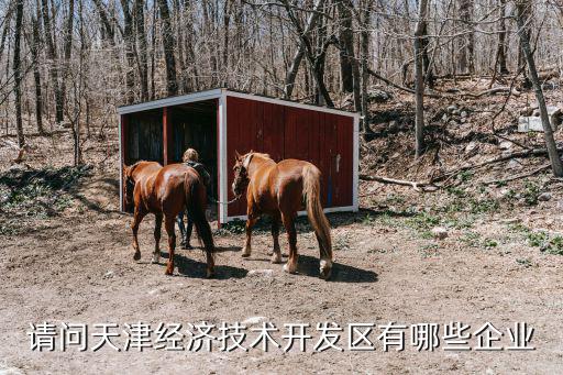 請問天津經濟技術開發區有哪些企業