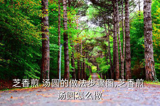 芝香煎 湯圓的做法步驟圖,芝香煎 湯圓怎么做