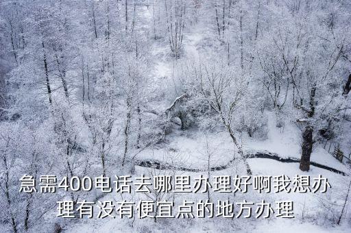 急需400電話去哪里辦理好啊我想辦理有沒有便宜點的地方辦理