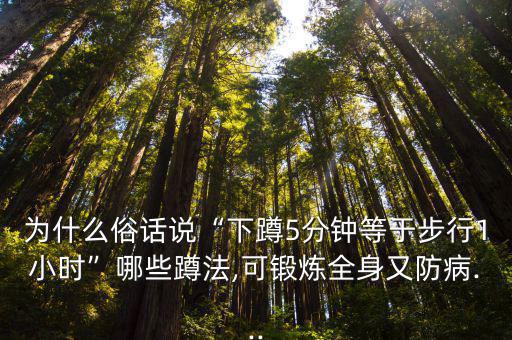 弓步蹲正確姿勢,蹲五分鐘等于跑步一小時的運動量