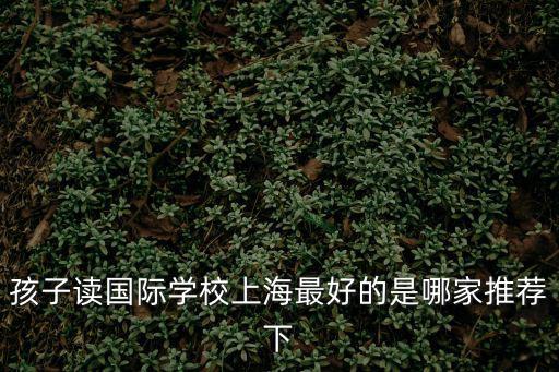 孩子讀國際學校上海最好的是哪家推薦下