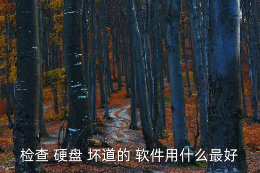 檢查 硬盤 壞道的 軟件用什么最好