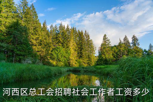 河西區總工會招聘社會工作者工資多少