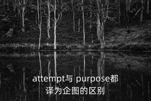 attempt與 purpose都譯為企圖的區別