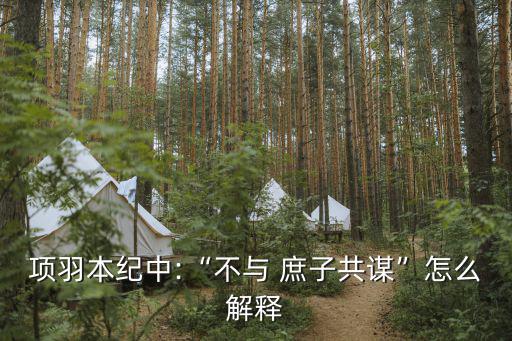 庶子不足與謀,楚霸王的傳承】