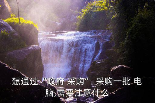 想通過“政府 采購” 采購一批 電腦,需要注意什么