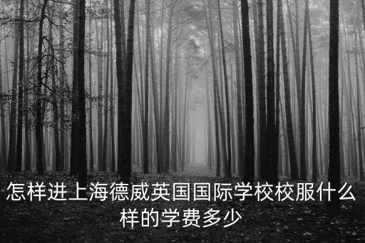 上海德威國際學校一年多少錢，送孩子讀珠海市徳威國際高中每年要預算多少錢