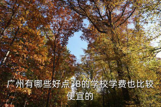 廣州有哪些好點3B的學校學費也比較便宜的