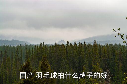 國產(chǎn) 羽毛球拍什么牌子的好