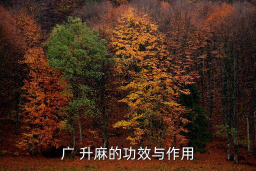 廣 升麻的功效與作用