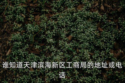 誰知道天津濱海新區工商局的地址或電話