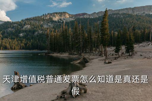 天津增值稅普通發(fā)票怎么知道是真還是假
