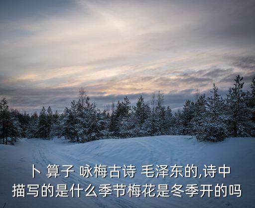 毛澤東的卜算子詠梅,毛澤東的算子...詠梅