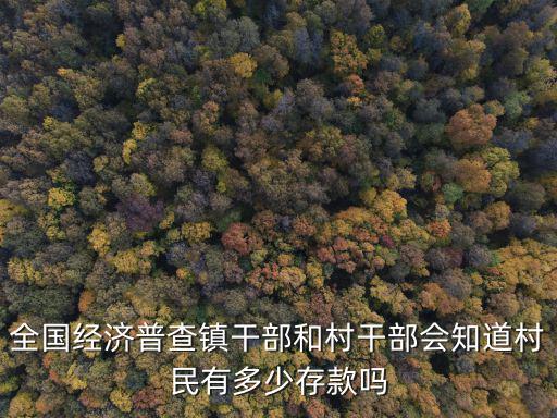 全國經濟普查鎮干部和村干部會知道村民有多少存款嗎