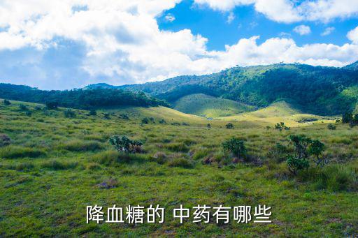 降血糖的 中藥有哪些