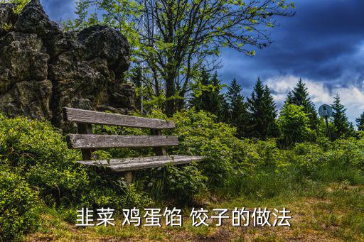 韭菜雞蛋肉餃子,菜豬肉餡包餃子注意事項(xiàng)